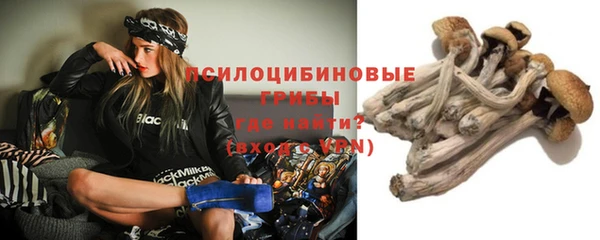 прущая мука Нефтегорск